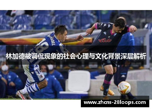 林加德被调侃现象的社会心理与文化背景深层解析