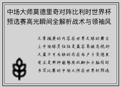 中场大师莫德里奇对阵比利时世界杯预选赛高光瞬间全解析战术与领袖风采